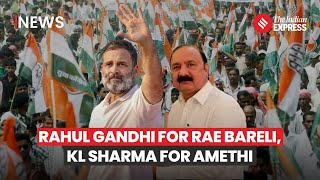 Amethi Raebareli Seat Congress Picks Rahul Gandhi For Raebareli Nominates Kl Sharma For Amethi