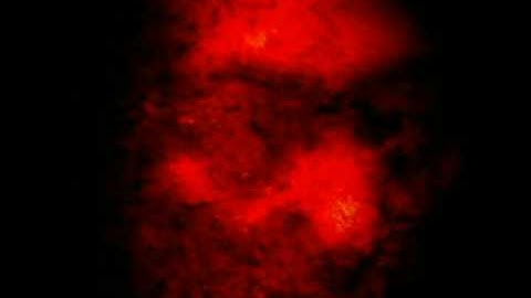 PARANOiA ~HADES~ / αTYPE-300