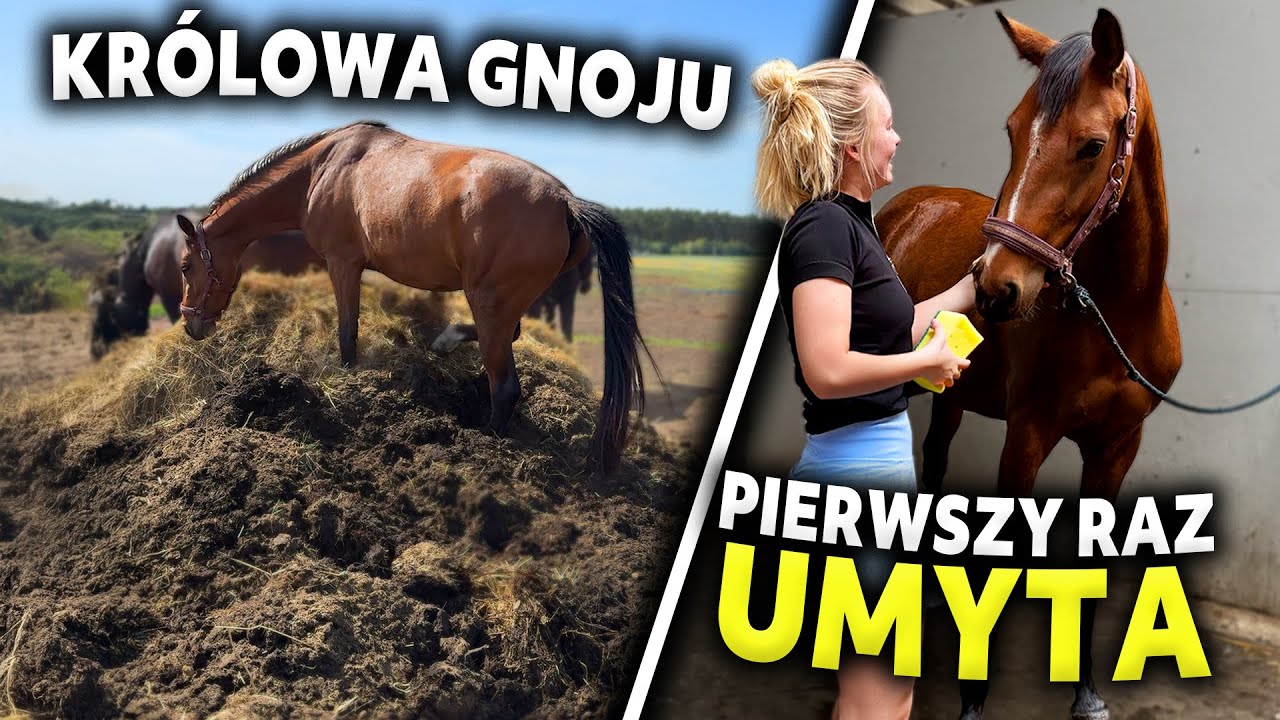 TEREN NA DILI | LOVKA CAŁA WYKĄPANA! 😱