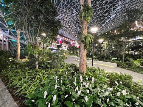 The Orchard blooms at Hamad International Airport