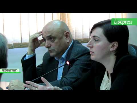 საგაზაფხულო პროგრამის განხილვა