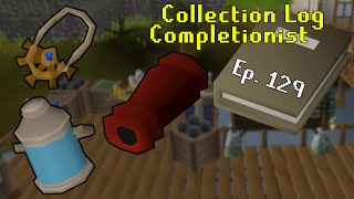 Complecionista Del Registro De Colección