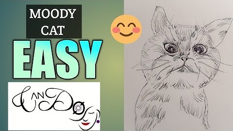 How To Draw A Grumpy Cat Step By Step For Beginners| Easy Moody Cat Drawing Tutorial| Angry Kitty