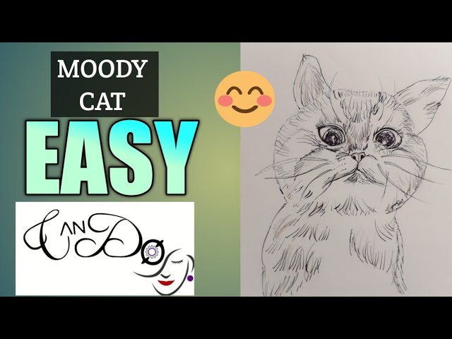 How to Draw the Grumpy Cat, Tard the Grumpy Cat, Step by Step