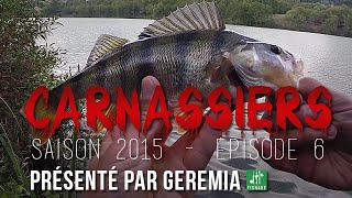 Pêche de la PERCHE en automne au micro JIG (Bait Finess) - GoPro HD - Série Carnassiers