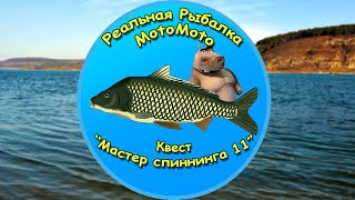 Квест 