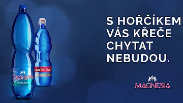 Kdo je nejlepším doplňkem hořčíku?