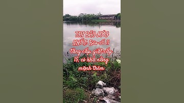 #baolaodong  TIN BÃO MỚI NHẤT: Bão số 11 tăng cấp, giật cấp 15, có khả năng mạnh thêm #bld #funny #
