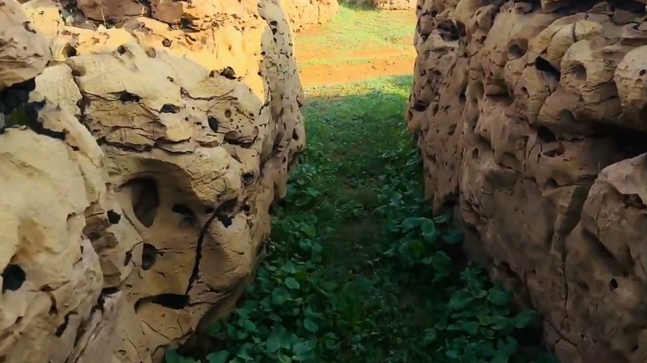 شعبان شرابث   جمعت بين قباحة الصخور وجمال الربيع