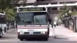 Washington DC Area Buses 2001