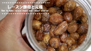 【自家製天然酵母】レーズン酵母の起こし方と元種の作り方　How to make raisin yeast and yeast starter