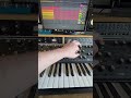 Moog Subsequent 37 into lots of pedals. #moog #synth #moogsynthesizer #electronicmusic #synthesizer