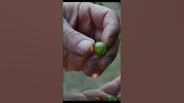 Us talking about producing video for our clients… #itscorn #branding #videomarketing