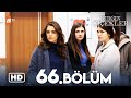   66  