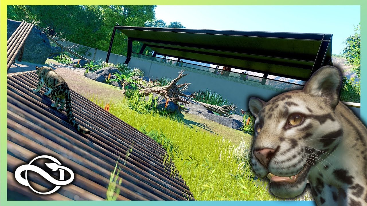 Planet Zoo | Clouded Leopard Habitat / Enclosure | Tuesto Zoo | 04