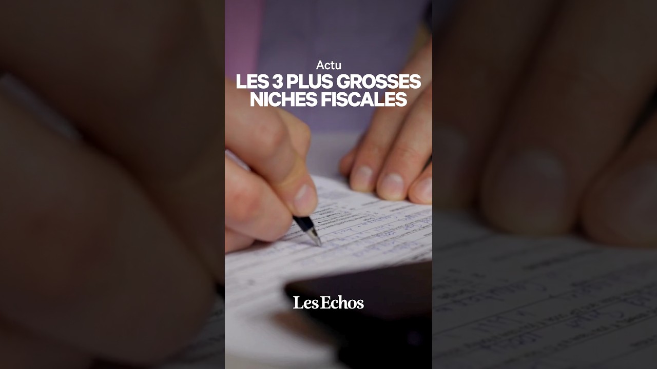 Quelles sont les 3 plus grosses niches fiscales en France ? Pauline t'explique.