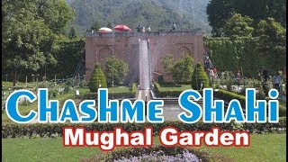 Chashme-Shahi Mughal Garden - Beautiful Place to Visit in Srinagar *FHD*