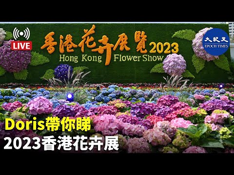 Doris帶你睇 2023香港花卉展覽 l#紀元香港 #EpochNewsHK