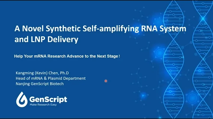 A Novel Synthetic Self-amplifying RNA System and LNP Delivery