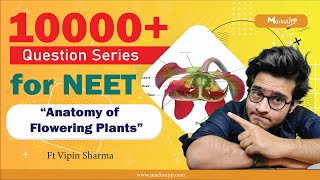 10000  Questions Series for NEET | Anatomy of Flowering Plants | NCERT Based Question Practice