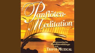 Download Lagu Mein Teurer Anicuta MP3 Download Lagu Mein Teurer Anicuta MP3
