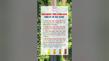 ❌ Màu NƯỚC TIỂU cảnh báo vấn đề về sức khỏe!