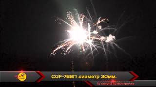 CGF-766П (2012)