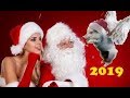 НОВЫЙ ГОД 2019 К НАМ ИДЕТ! ПОЗДРАВЛЕНИЕ С НОВЫМ ГОДОМ 2019