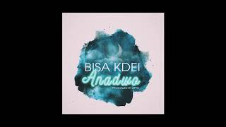 Bisa Kdei - Anadwo (Official Audio)