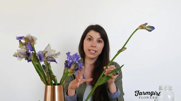 Hướng dẫn tạo bó hoa iris 10 cành | Farmgirl Flowers