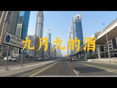 九月九的酒--陈少华