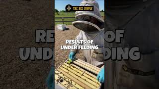 BEEKEEPING in under a minute: Results Of Under Feeding with Blake Shook