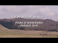 Il pianto del bosco - Piana di Marcesina Pasqua 2019