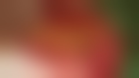 Fatmawati Obstetrics and Gynecology Updates in Surgical Skills