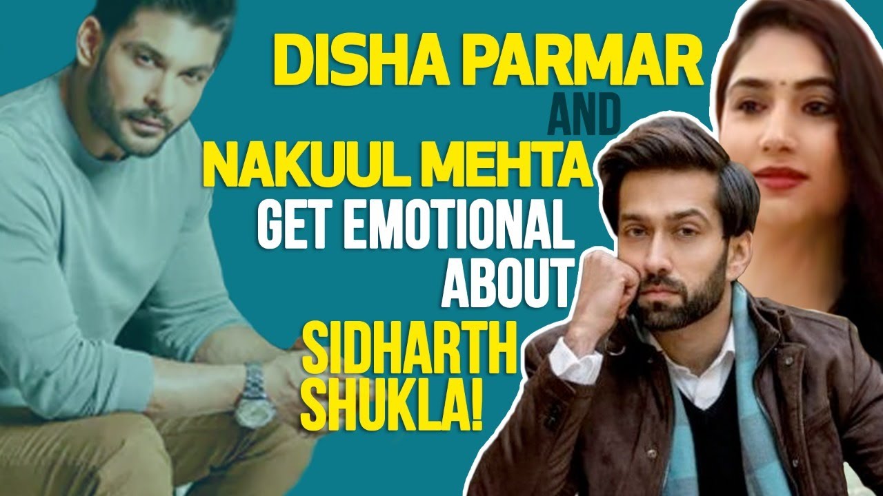 Who accused Disha and Rahul's relationship to be fake?