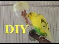 2 Easy Foraging Toys for Budgies - DIY | 小型 インコのフォーレジング