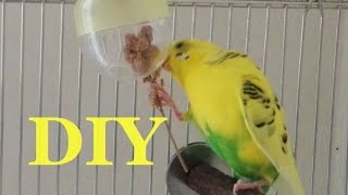 2 Easy Foraging Toys for Budgies - DIY | 小型 インコのフォーレジング