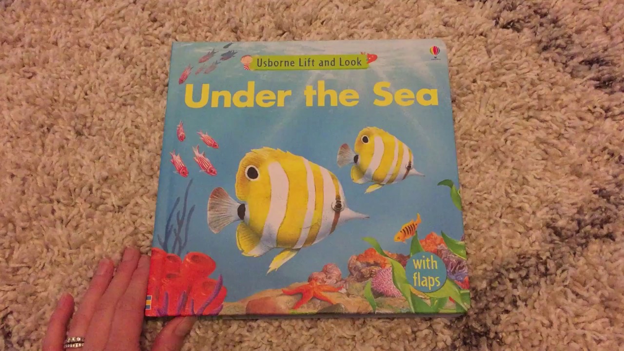 Usborne Under the Sea (Lift and Look) - YouTube
