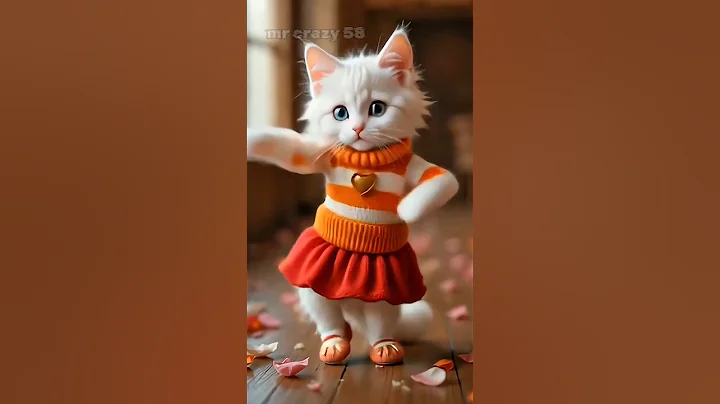 Video 10897351: meow baby cat sound, meowing cat sound funny, cats meow funniest, cute kitten dancing