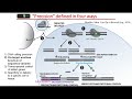 Precise gene editing of human pluripotent stem cells