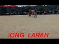 Masi iadur ha lawbah  iong larah  vs  saw  tyrsad