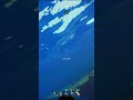 Tadpole goes Zooooom
