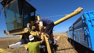 Tarım Vlog Arpa Neyin Biçiyoruz, Makine Taş Yuttu.. Boş Muhabbetli