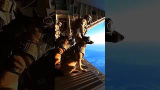 Flying Canadian Dogs #skydiving #army #armyreserve #basictraining #caf #canadianarmy #dogs