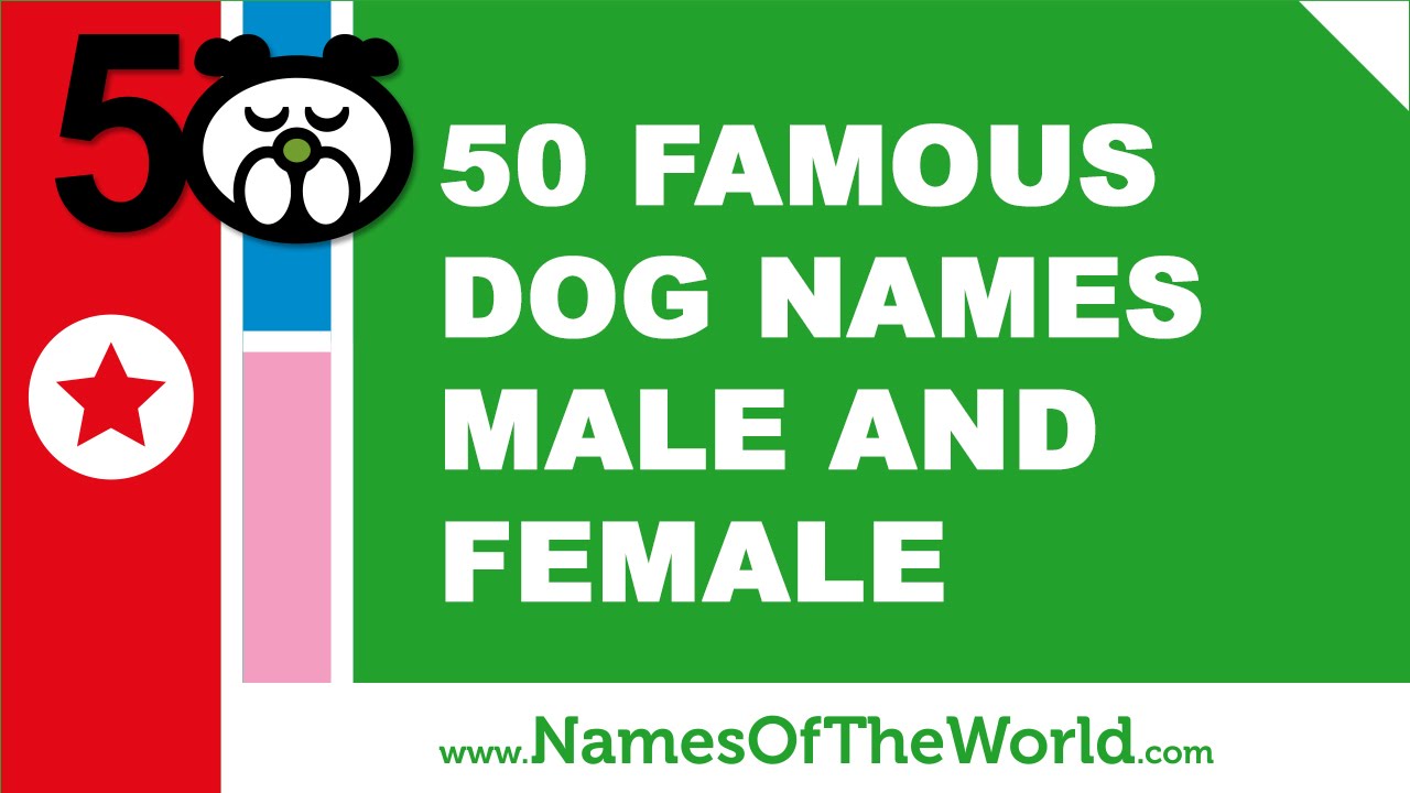 famous dog names