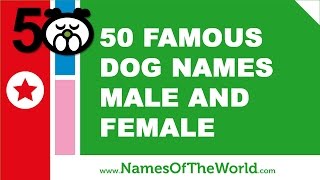 50 famous dog names male and female - best dog names - www.namesoftheworld.net