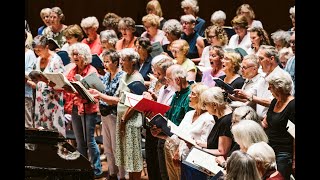Zingdag Met Het Nederlands Kamerkoor