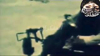 عبرنا الهزيمه شاديه - غردها