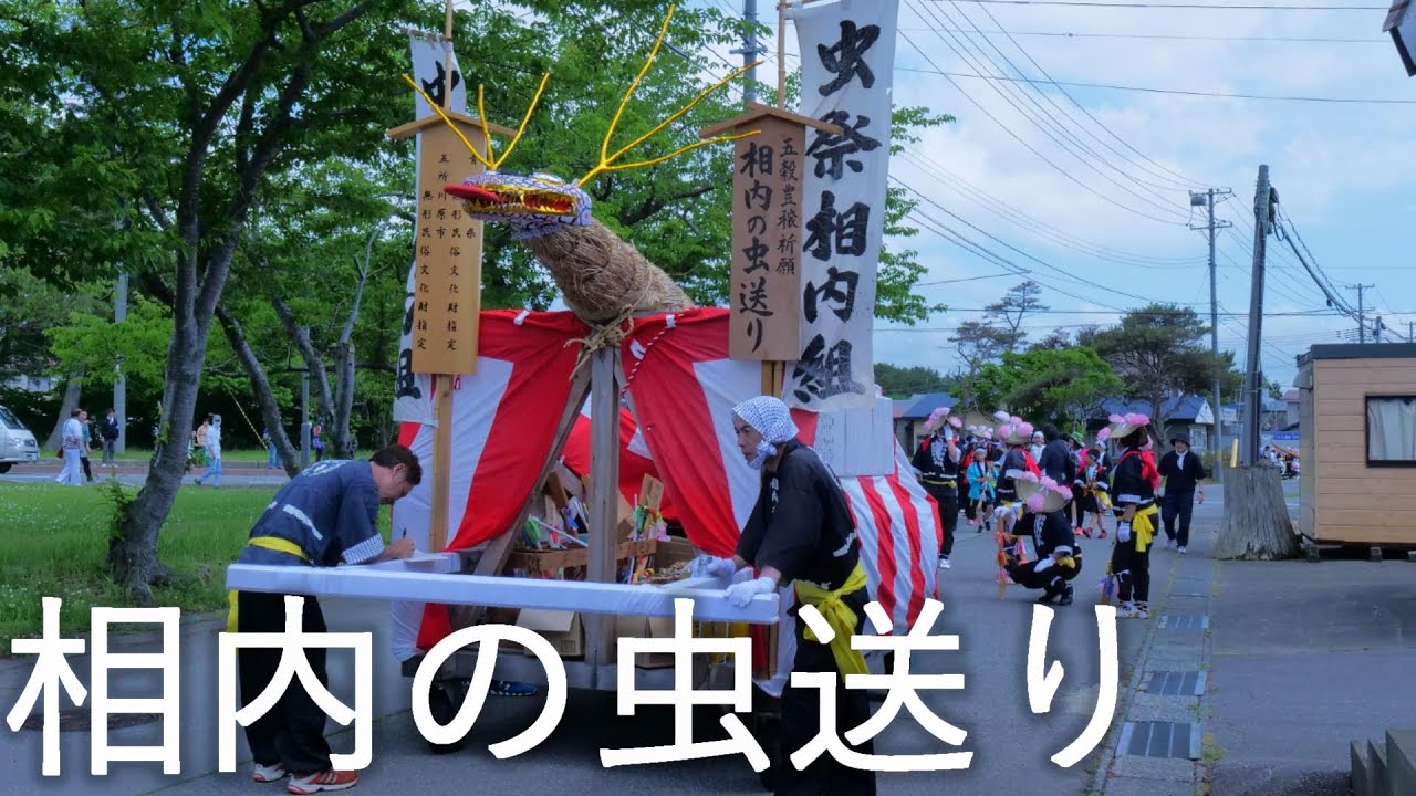 【相内の虫送り】虫送りの原型 無形民俗文化財【青森県五所川原市】4K60P