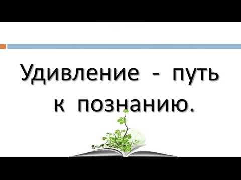 Тире между подлежащим и сказуемым.